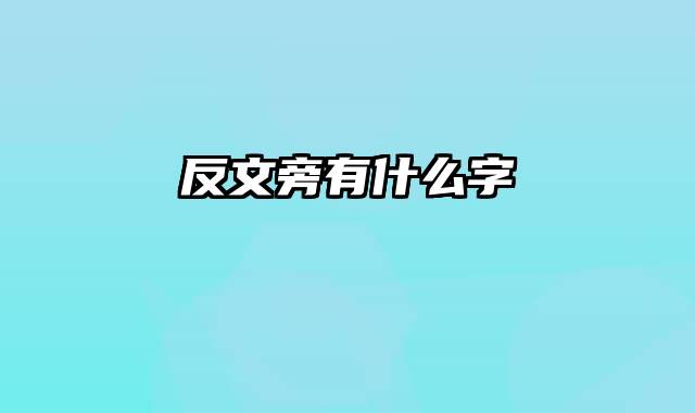 反文旁有什么字