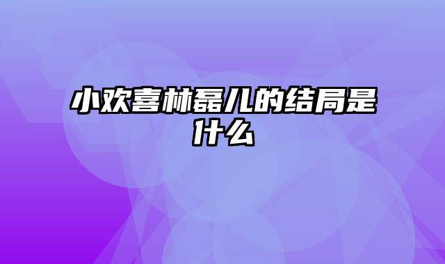 小欢喜林磊儿的结局是什么