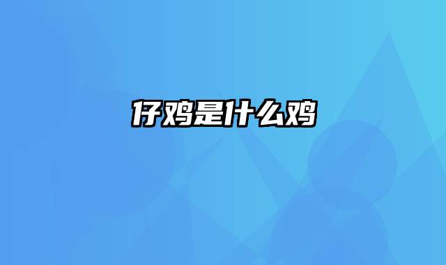 仔鸡是什么鸡