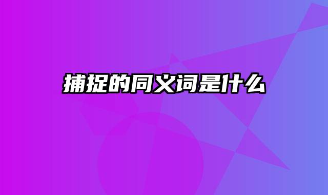 捕捉的同义词是什么