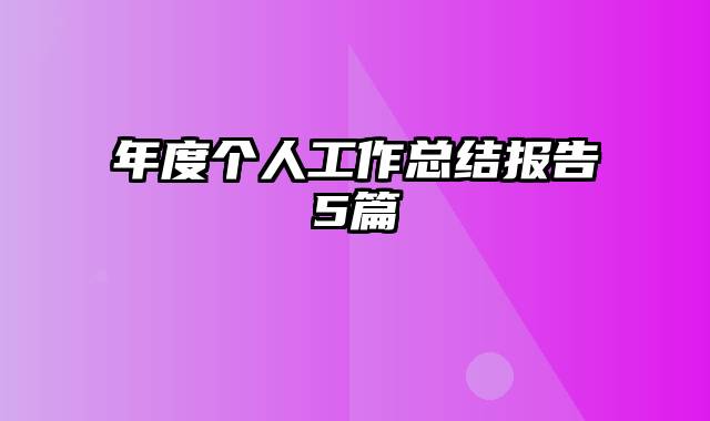 年度个人工作总结报告5篇