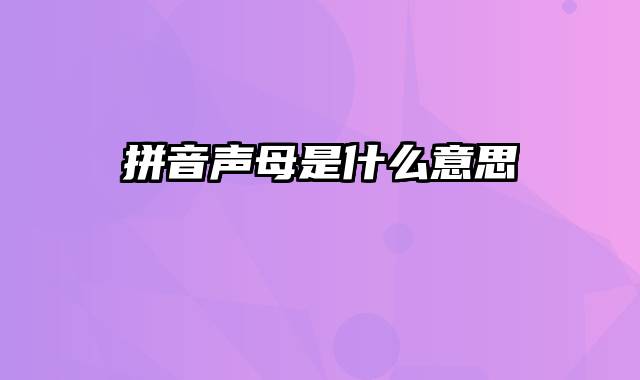 拼音声母是什么意思