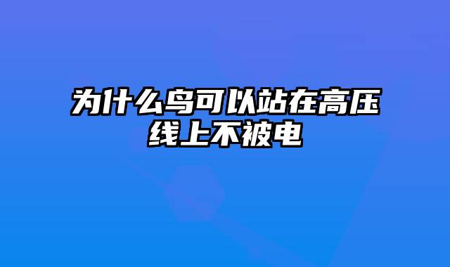 为什么鸟可以站在高压线上不被电