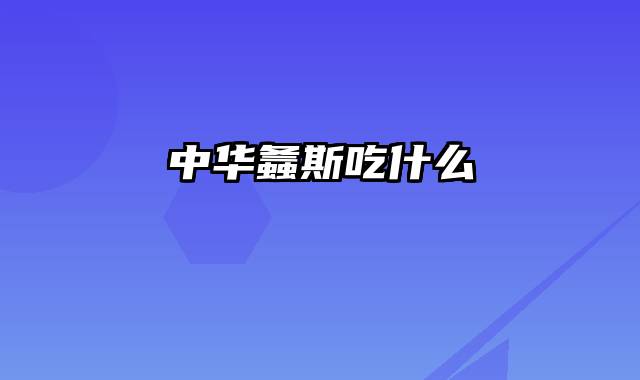 中华螽斯吃什么