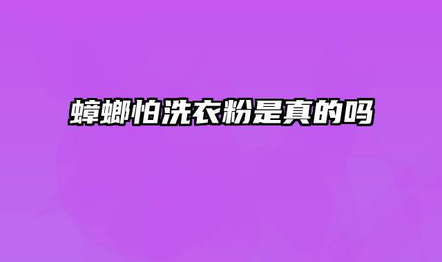 蟑螂怕洗衣粉是真的吗