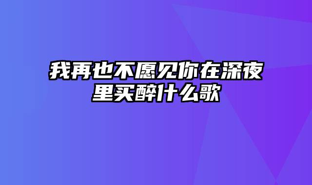 我再也不愿见你在深夜里买醉什么歌