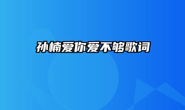 孙楠爱你爱不够歌词