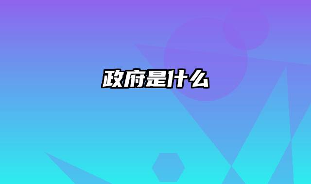 政府是什么