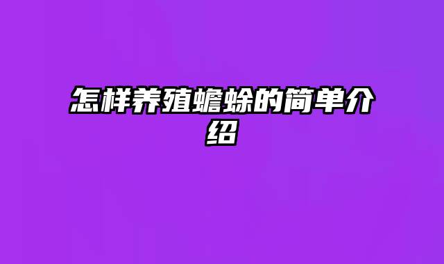 怎样养殖蟾蜍的简单介绍