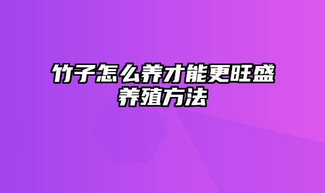 竹子怎么养才能更旺盛养殖方法