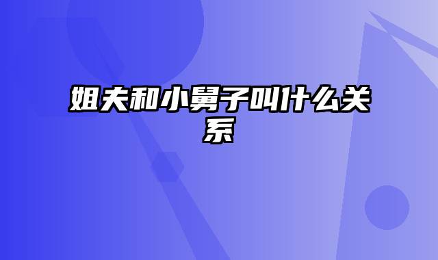 姐夫和小舅子叫什么关系