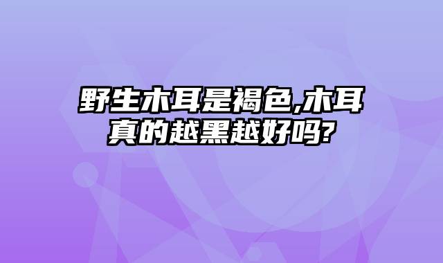 野生木耳是褐色,木耳真的越黑越好吗?