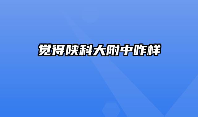 觉得陕科大附中咋样