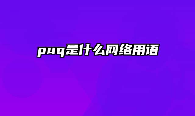 puq是什么网络用语