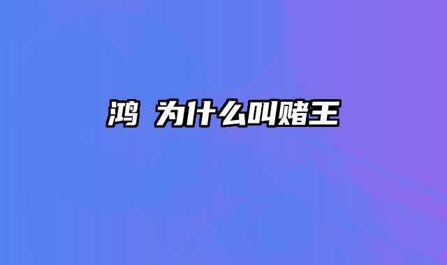 鸿燊为什么叫赌王