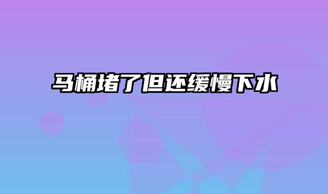 马桶堵了但还缓慢下水