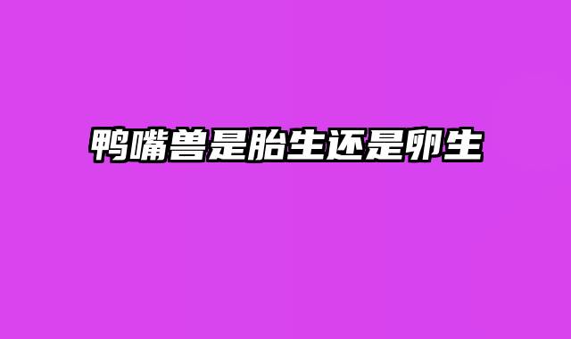 鸭嘴兽是胎生还是卵生