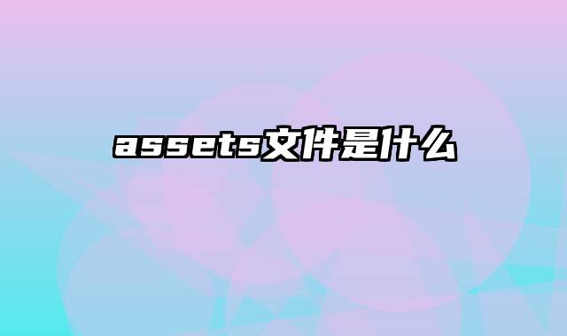 assets文件是什么