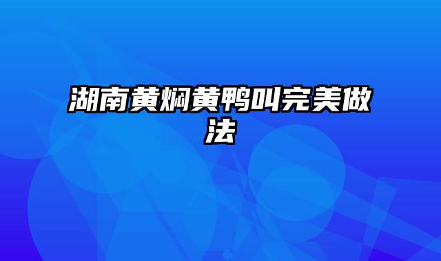 湖南黄焖黄鸭叫完美做法