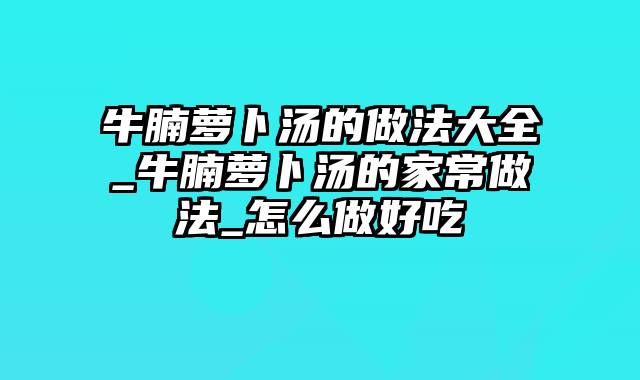 牛腩萝卜汤的做法大全_牛腩萝卜汤的家常做法_怎么做好吃