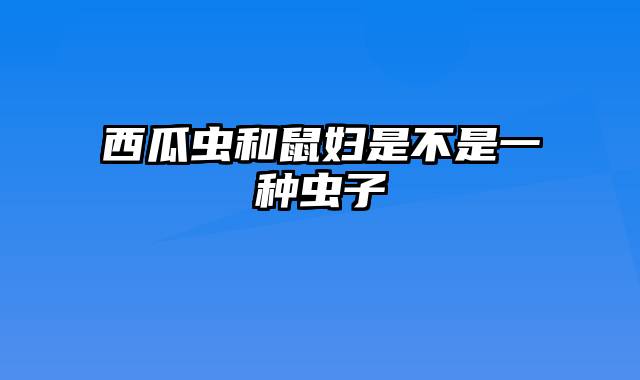 西瓜虫和鼠妇是不是一种虫子