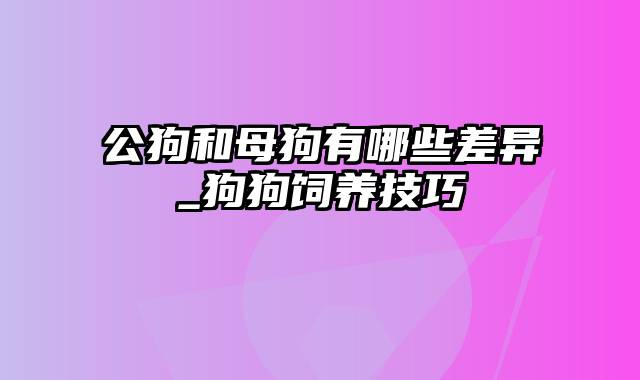 公狗和母狗有哪些差异_狗狗饲养技巧