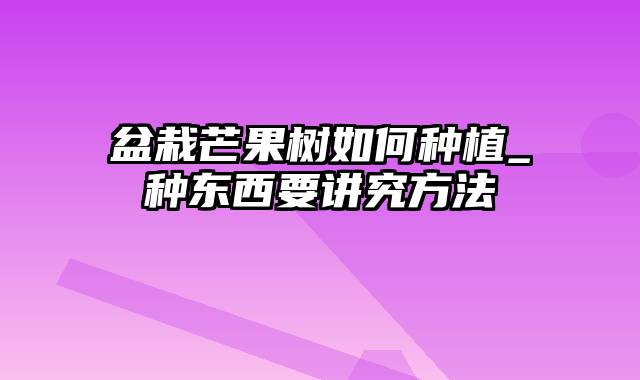 盆栽芒果树如何种植_种东西要讲究方法