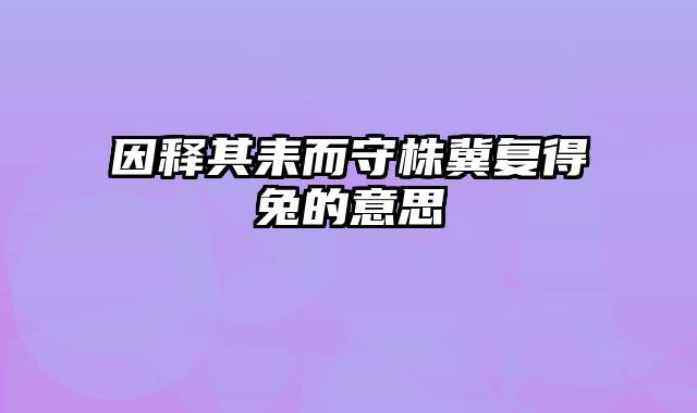 因释其耒而守株冀复得兔的意思