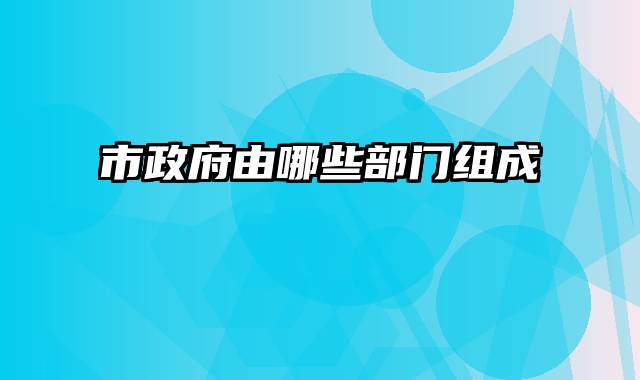 市政府由哪些部门组成