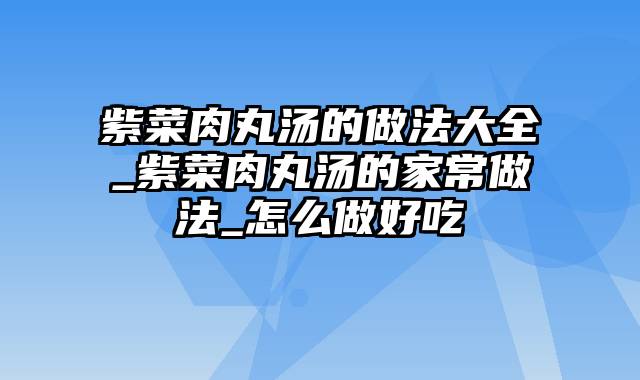 紫菜肉丸汤的做法大全_紫菜肉丸汤的家常做法_怎么做好吃