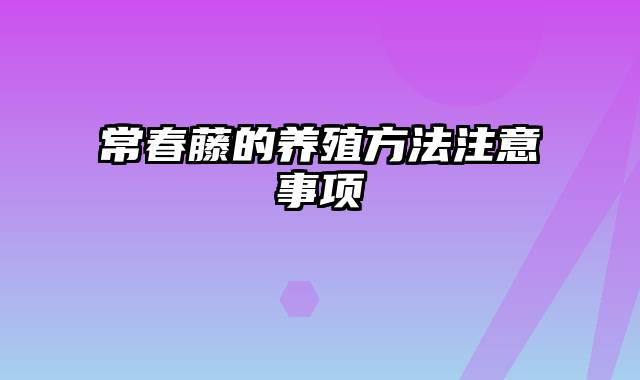 常春藤的养殖方法注意事项