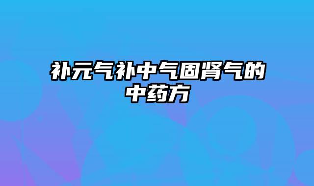 补元气补中气固肾气的中药方