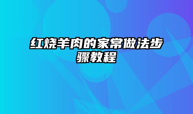 红烧羊肉的家常做法步骤教程