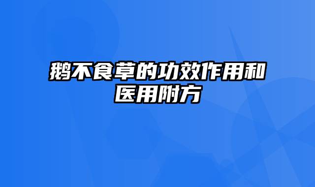 鹅不食草的功效作用和医用附方