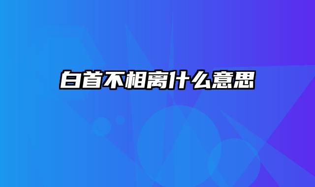 白首不相离什么意思