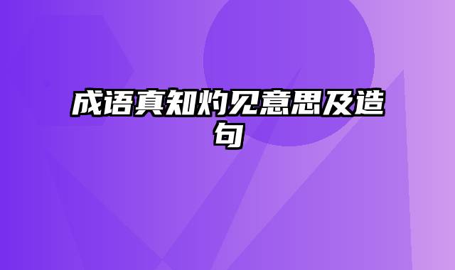 成语真知灼见意思及造句