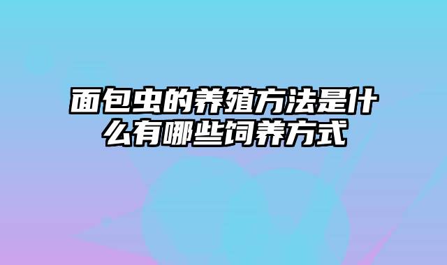 面包虫的养殖方法是什么有哪些饲养方式