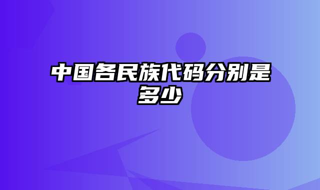 中国各民族代码分别是多少