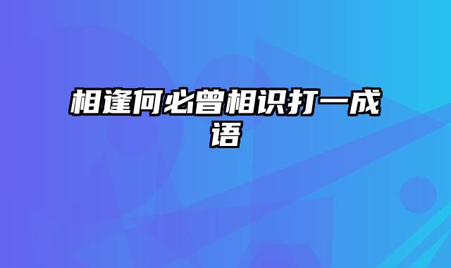 相逢何必曾相识打一成语