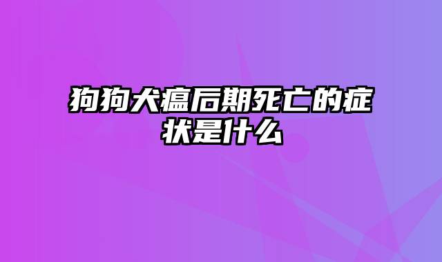 狗狗犬瘟后期死亡的症状是什么