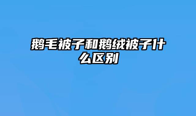 鹅毛被子和鹅绒被子什么区别