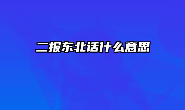 二报东北话什么意思