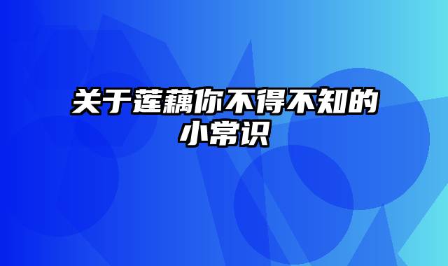 关于莲藕你不得不知的小常识