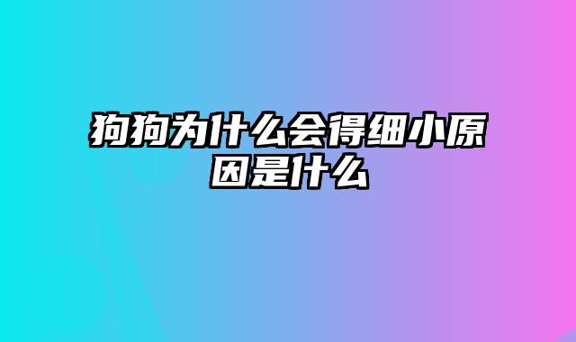 狗狗为什么会得细小原因是什么