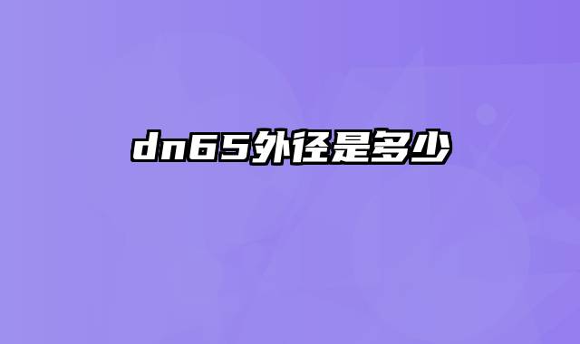 dn65外径是多少