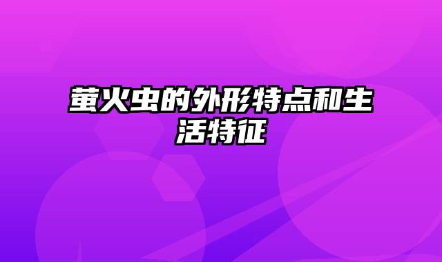 萤火虫的外形特点和生活特征