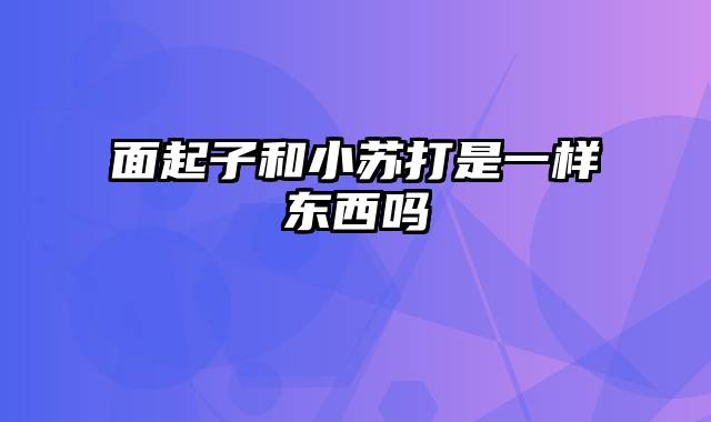 面起子和小苏打是一样东西吗