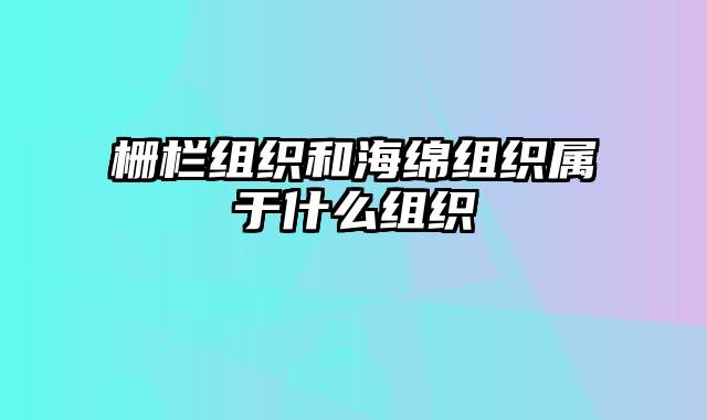 栅栏组织和海绵组织属于什么组织