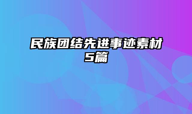 民族团结先进事迹素材5篇