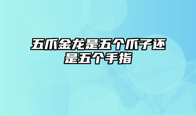 五爪金龙是五个爪子还是五个手指